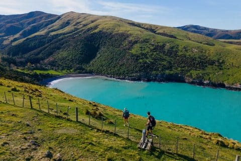 Banks Peninsula Walking Holiday and Hike | Banks Track